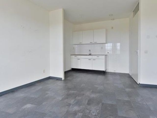 Riouwstraat , Den Haag