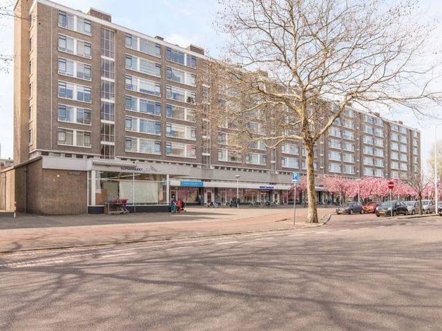 Beresteinlaan , Den Haag