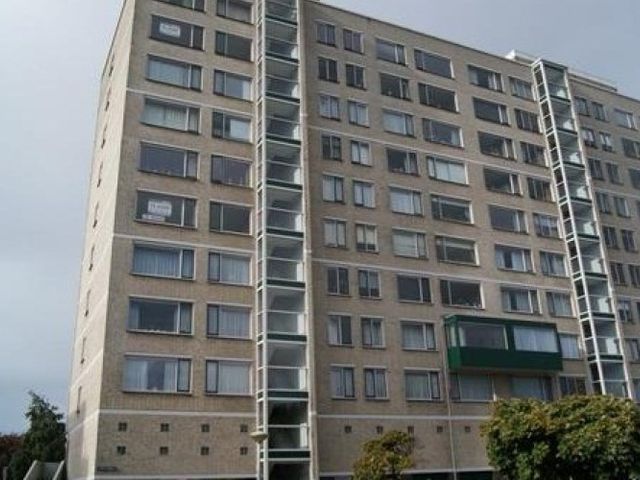 Forellendaal , Den Haag