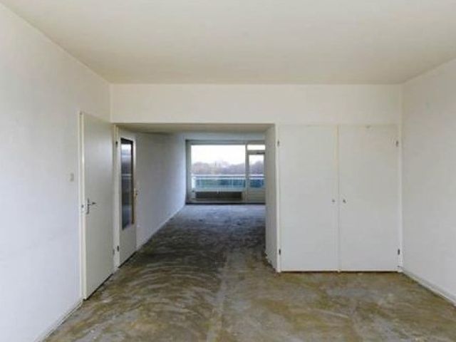 Forellendaal , Den Haag