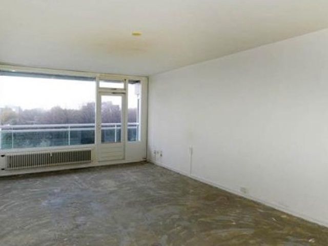 Forellendaal , Den Haag