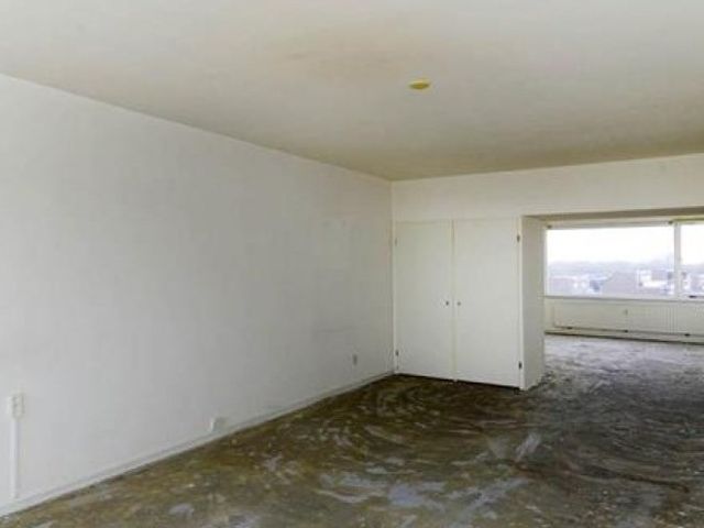 Forellendaal , Den Haag