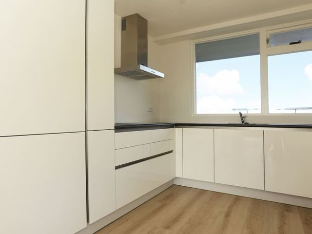 Nieuwendamlaan , Den Haag