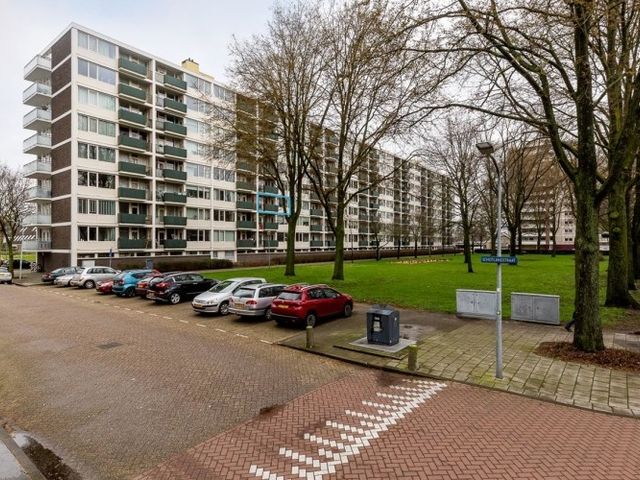 Ierlandstraat , Haarlem