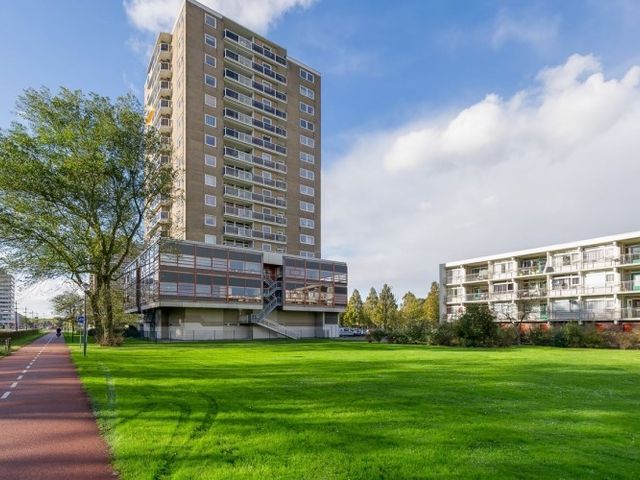 Robert Kochlaan , Haarlem