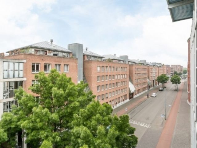 Sphinxlunet , Maastricht