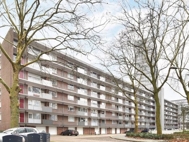 Cederstraat , Tilburg