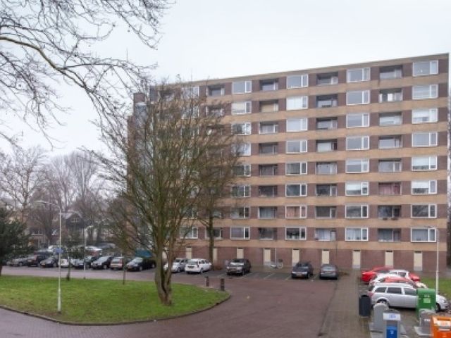 Fluitekruidweg , Zaandam
