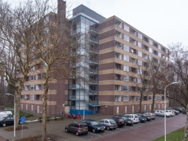 Fluitekruidweg , Zaandam