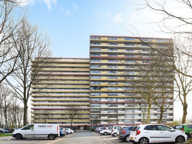 Oost Dorsch , Zaandam