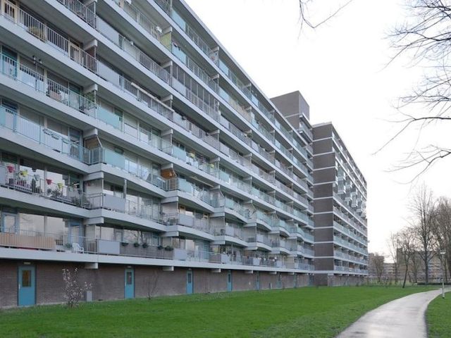 Belvédèrebos , Zoetermeer