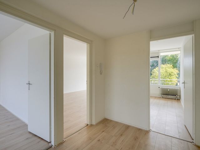 Tannhäuserdreef 242, Utrecht