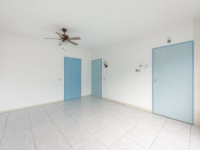 Krúswetter 12, Arum