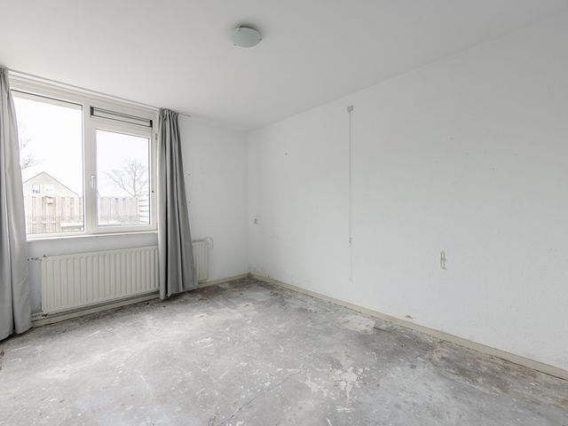 Krúswetter 12, Arum