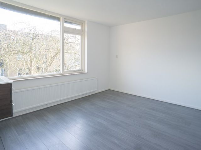 Fresiahof 8, Nibbixwoud