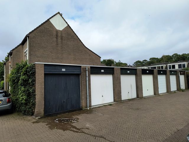 Ln van de Mensenrechten 218, 's-Gravenhage