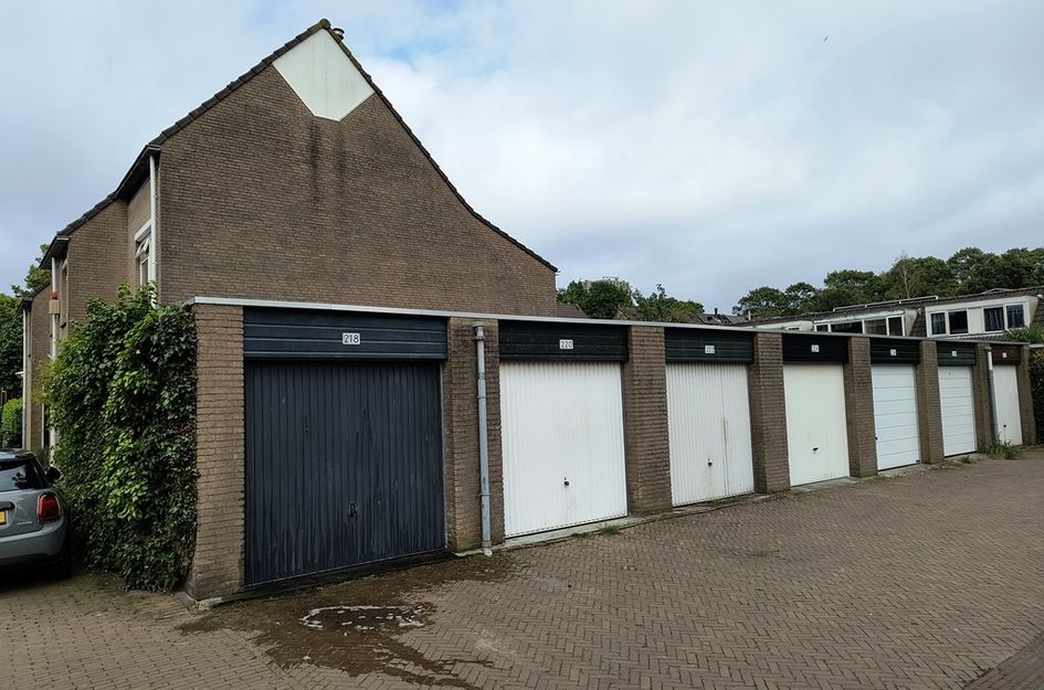 Ln van de Mensenrechten 218