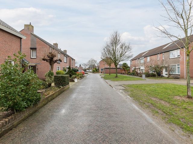 Plataanstraat 10, Echt