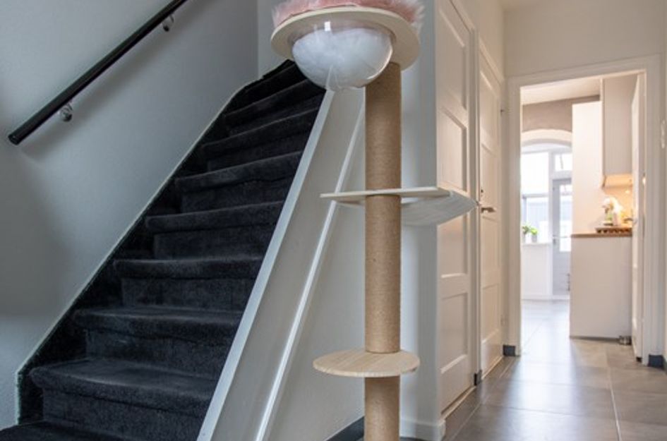 Antonie Morostraat 17