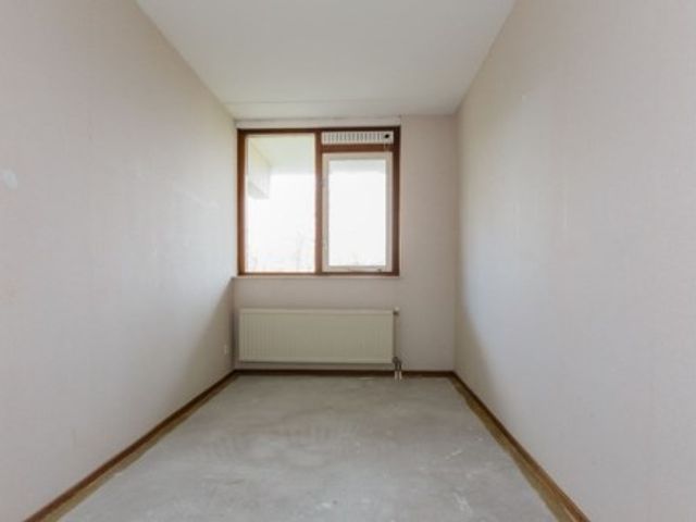 Cauberg , Alphen aan den Rijn