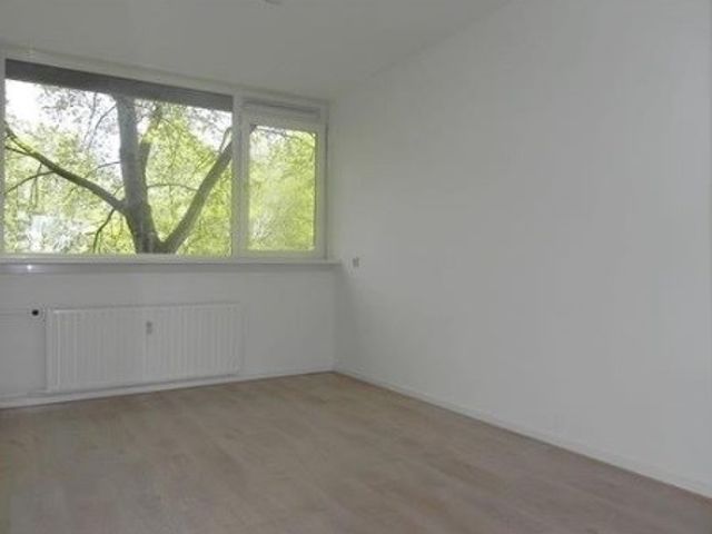 Trekvogelweg , Amersfoort