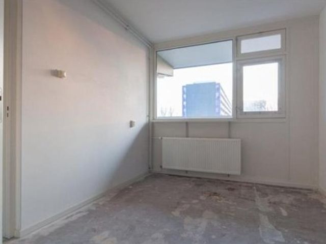 Standerdmolen , Amsterdam