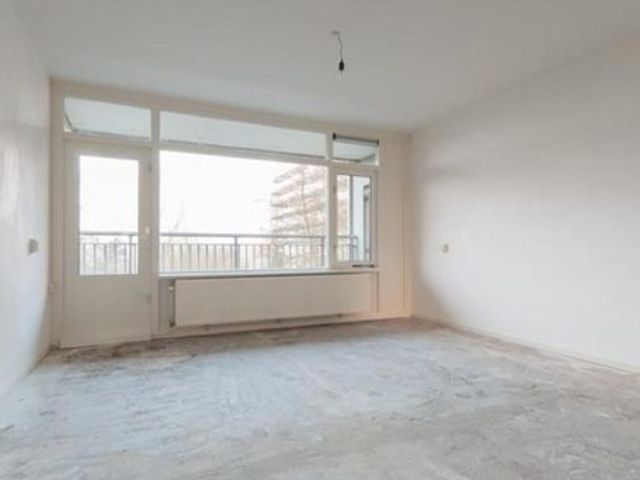 Standerdmolen , Amsterdam