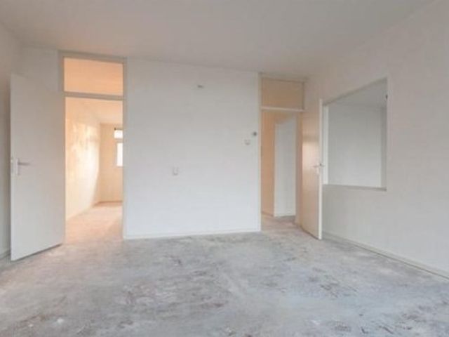 Standerdmolen , Amsterdam