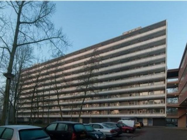 Standerdmolen , Amsterdam