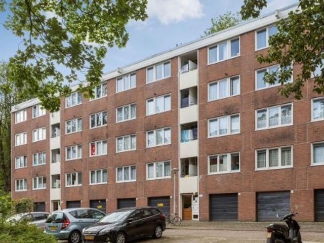 Savelsbos , Amsterdam