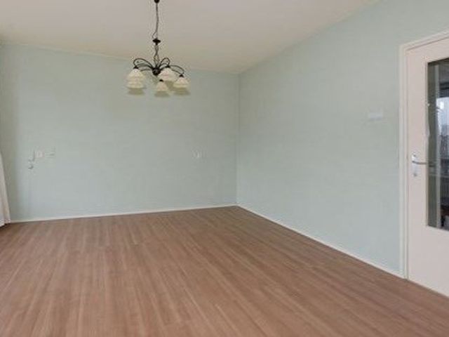 Wezelrade , 's-Gravenhage