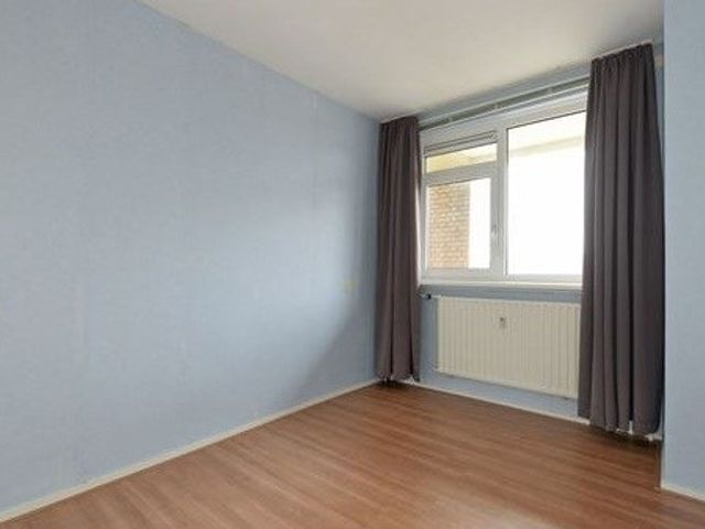 Wezelrade , 's-Gravenhage