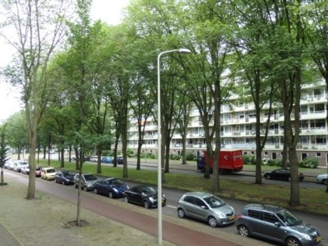 Volendamlaan , 's-Gravenhage