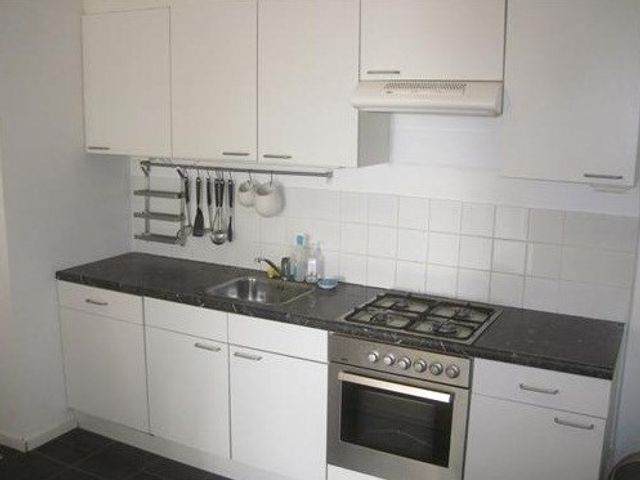 Jacques Urlusplantsoen , Leiden