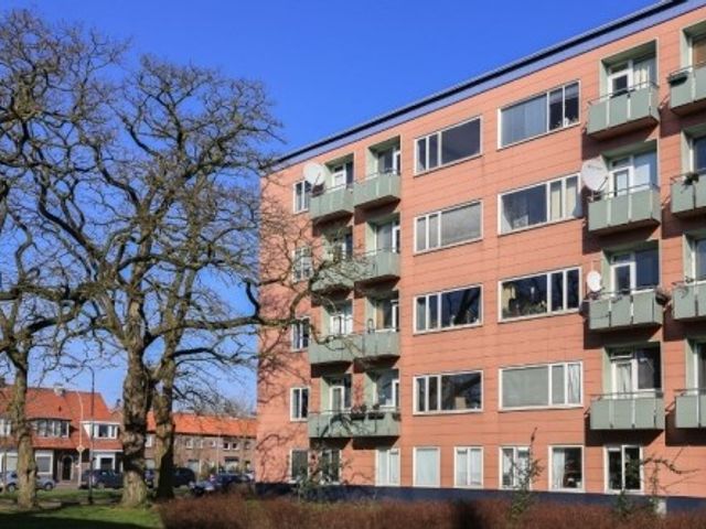 Ligusterstraat , Nijmegen