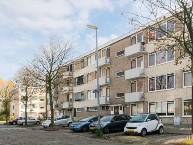 Stalpaertstraat , Rotterdam