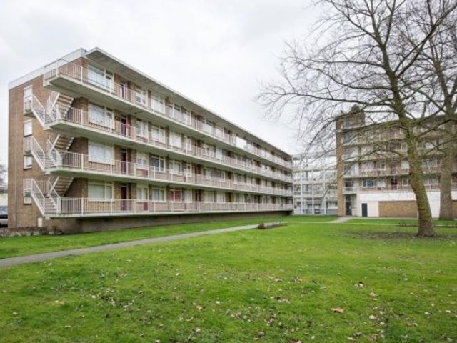 Heymansstraat , Rotterdam