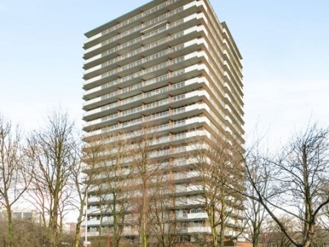 Dunantstraat , Zoetermeer