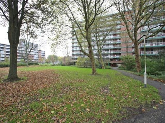 Binnenwater , Zoetermeer