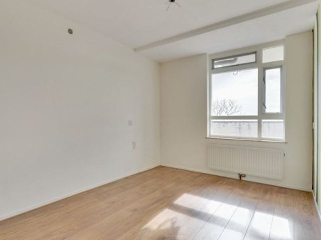 Dijkmeent ONG, Almere