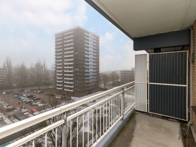 Groenhof ONG, Amstelveen