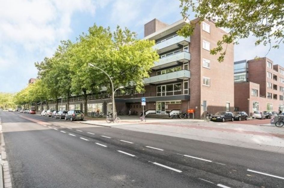 Ruys de Beerenbrouckstraat ONG