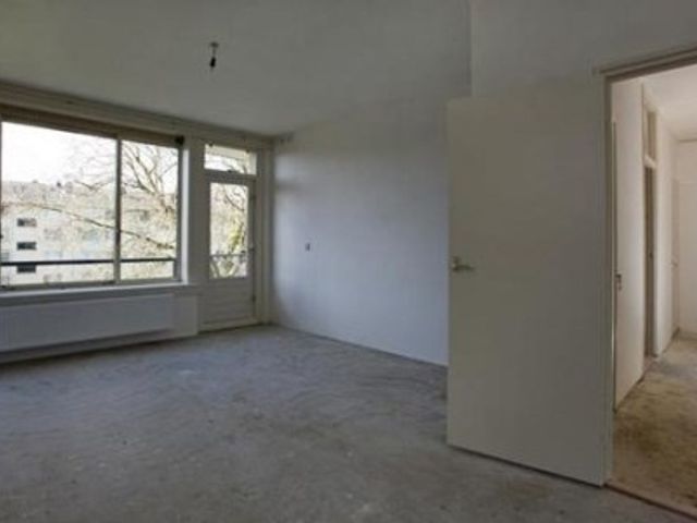 Petrus Blokhof ONG, Amsterdam