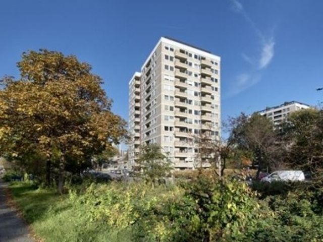 Ruimzicht ONG, Amsterdam