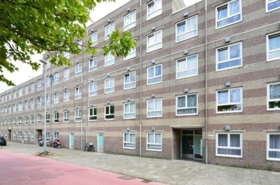 Daniël Defoelaan ONG