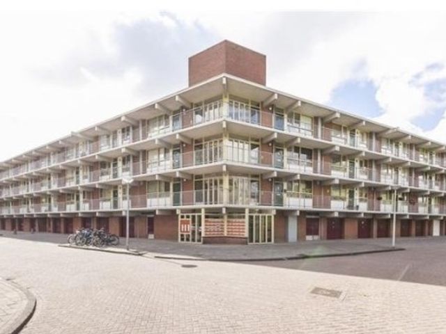 Amerbos ONG, Amsterdam