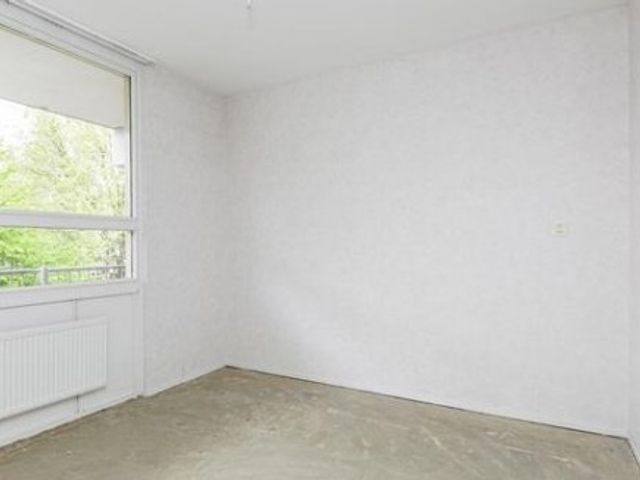 Amerbos ONG, Amsterdam