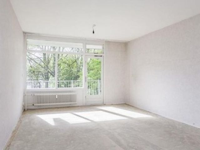 Amerbos ONG, Amsterdam