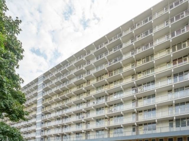 Hofgeest ONG, Amsterdam