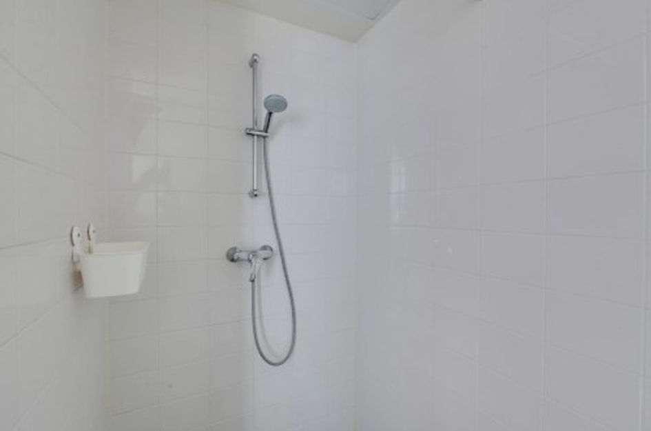 Bos en Lommerplantsoen ONG